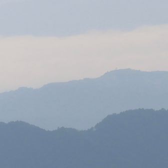 神楽尾山頂の一本桜が肉眼でも確認できた
知ってるから分かるのだと思う🌲
と言うか見えたことに感動した