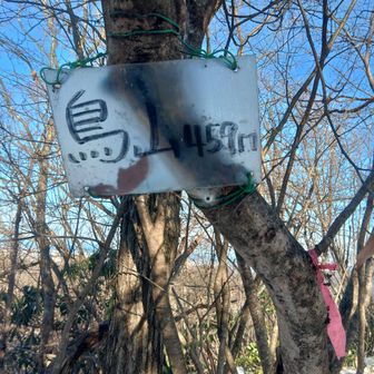 YAMAPには､無い
鳥山