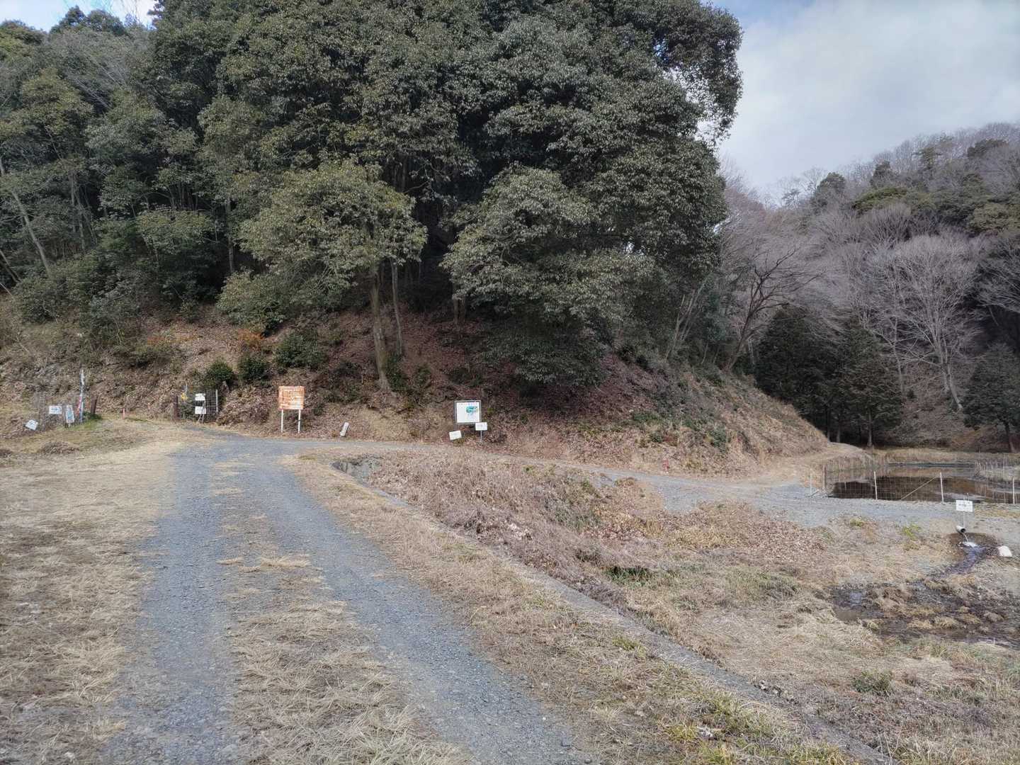 登山口から間もなく山道になります😊