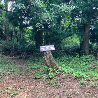 看板