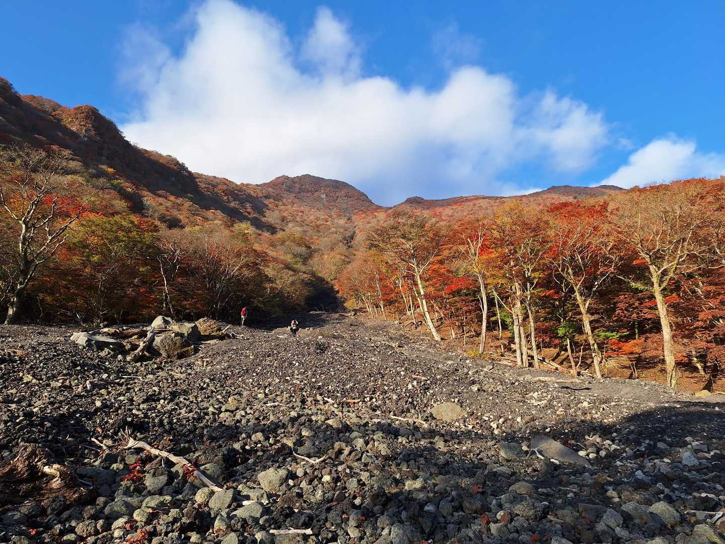やがて崩壊場所と呼ばれる細かい石や砂利だらけの開けた場所に出た。