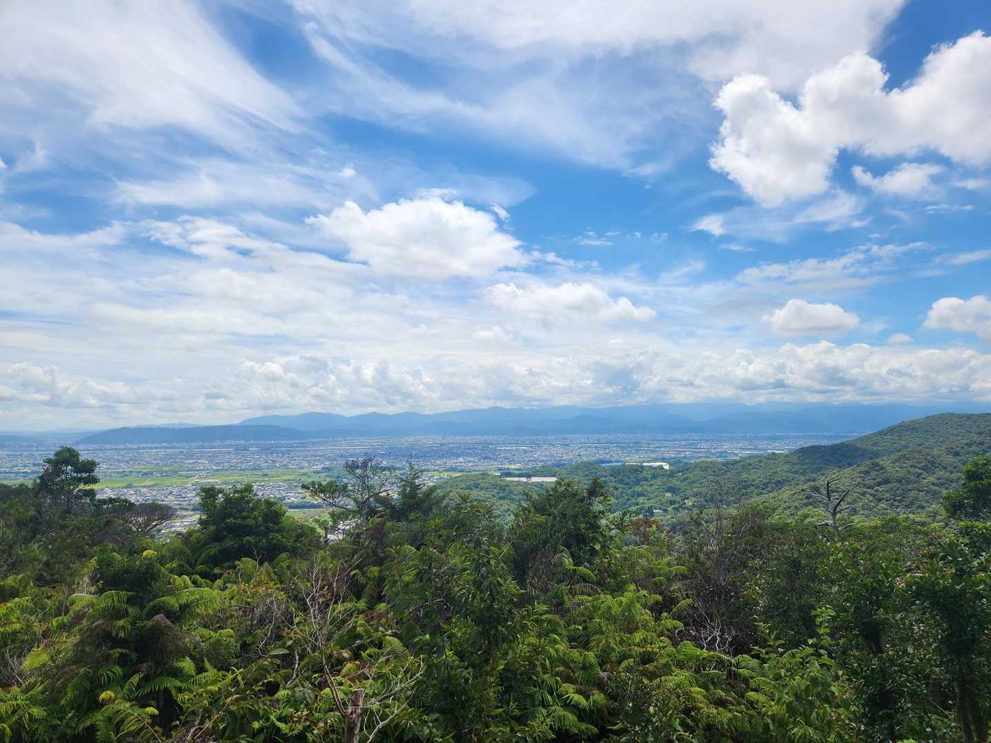 大麻山登山口-大麻山 往復コースの写真