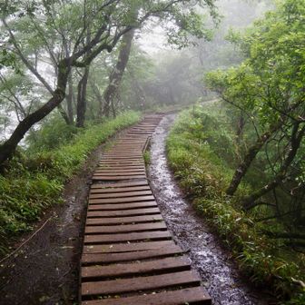 こんな木道はいいけど、坂道は滝のように泥水が流れていました😆