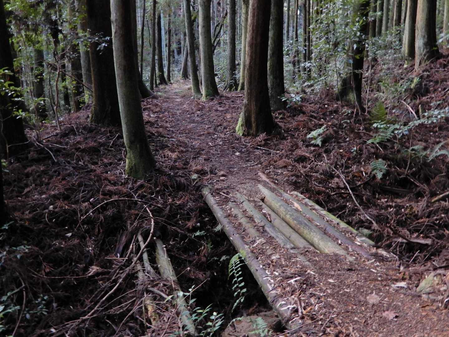 谷に架かった木の橋を渡り