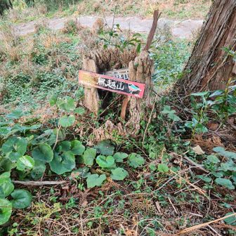 鳥越山　山頂に到着
