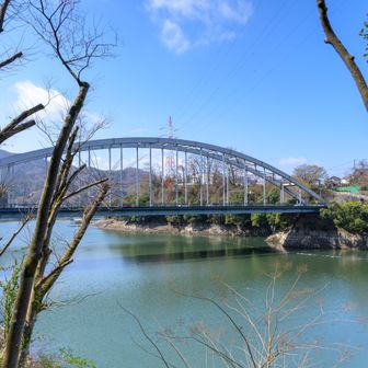 相模ダムが工事中で渡れないので相模湖大橋を渡って