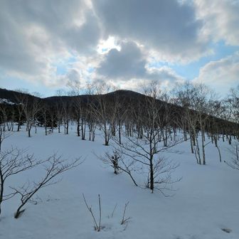 東ヌプカウシヌプリに来ました