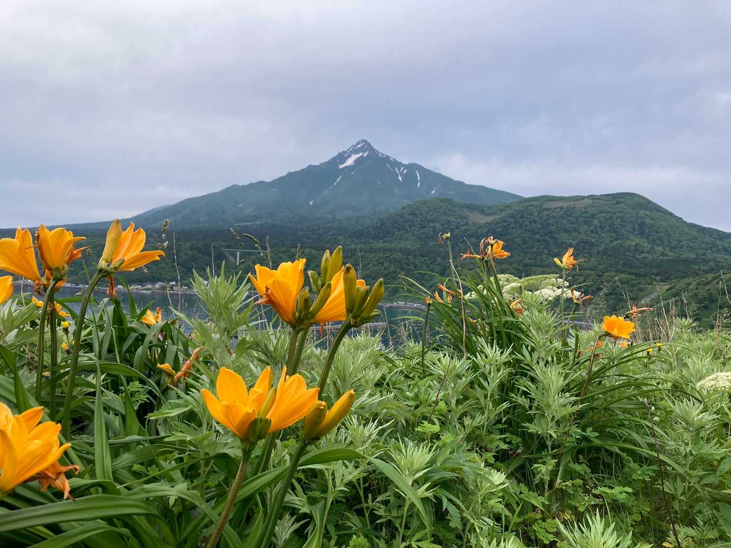 灯台山の写真