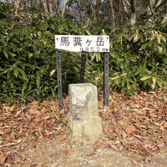 到着
一等三角点