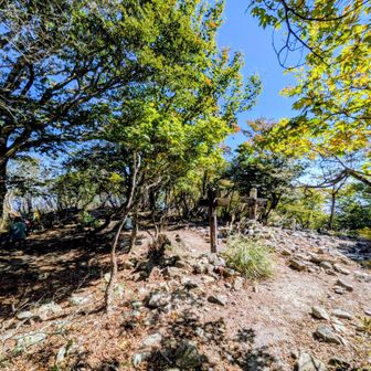 釈迦岳の山頂域