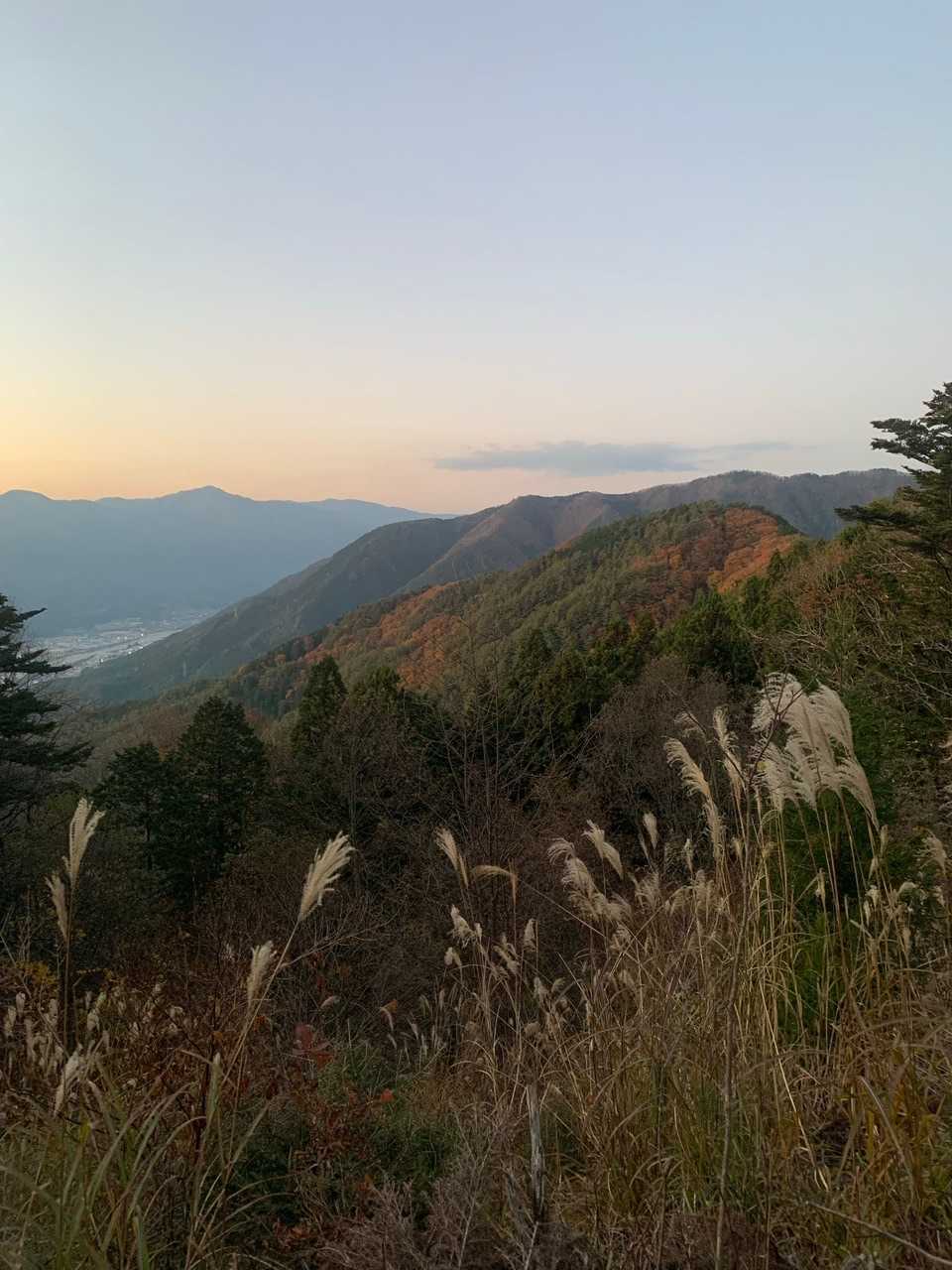 御前山 往復コースの写真