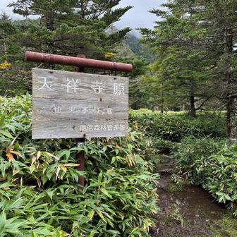 天祥寺原に到着。足もとの草地は水浸し💦