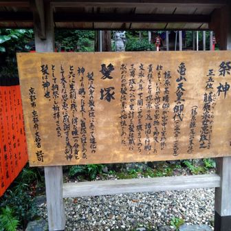 謎の脱毛に悩まされてるので、自然の冠が埋まるよう、よーくお願いしときました