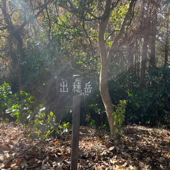 📍出穂岳
左右からスポットライトを浴びてるよう🪧
准隊員、一際思い入れのあるお山🤭