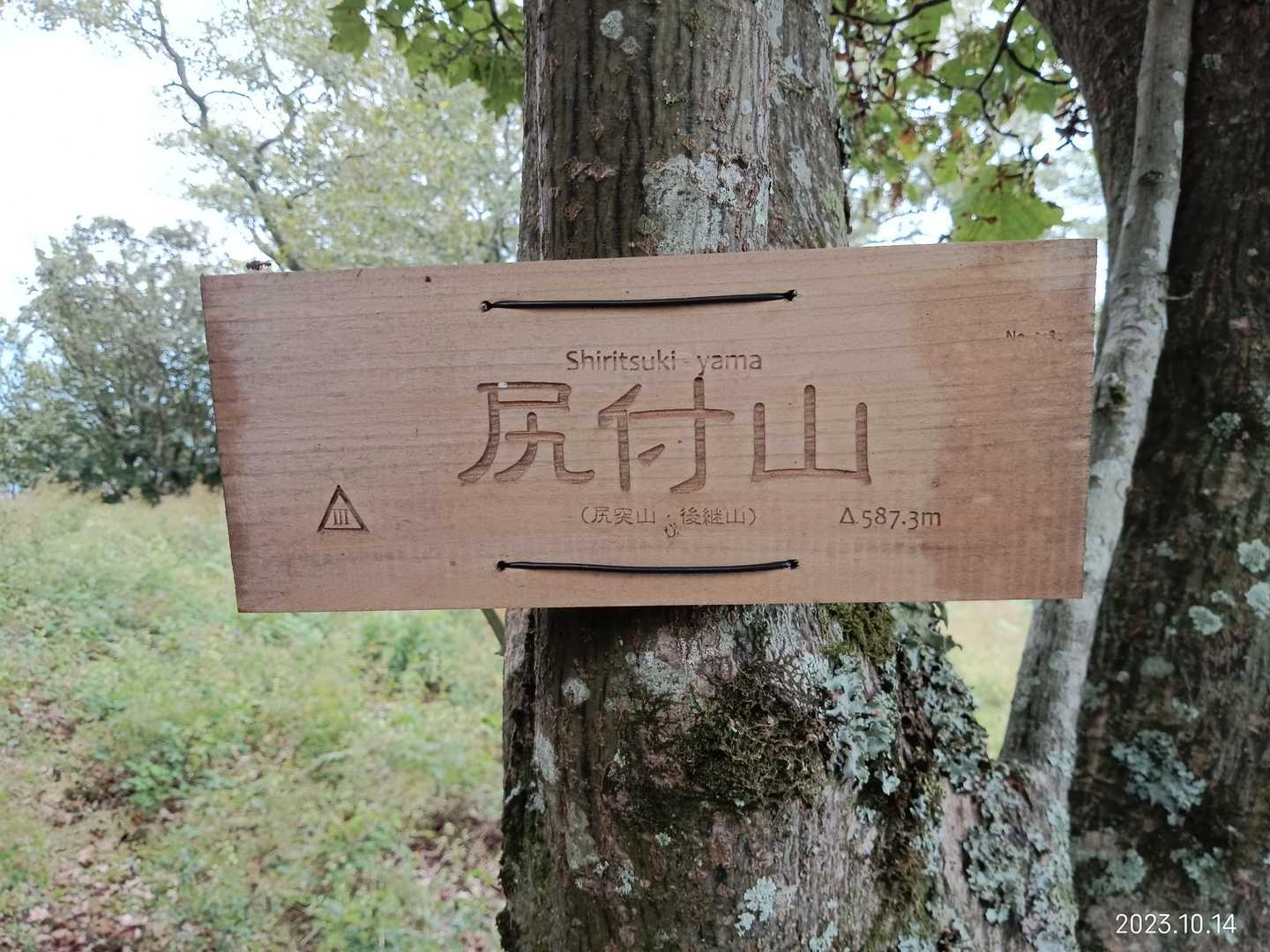 尻付山-ハジカミ山 往復コースの写真