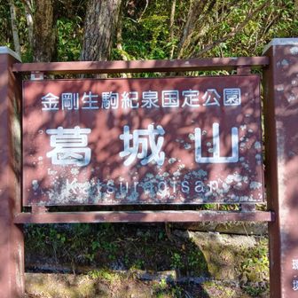 山頂？車道です。