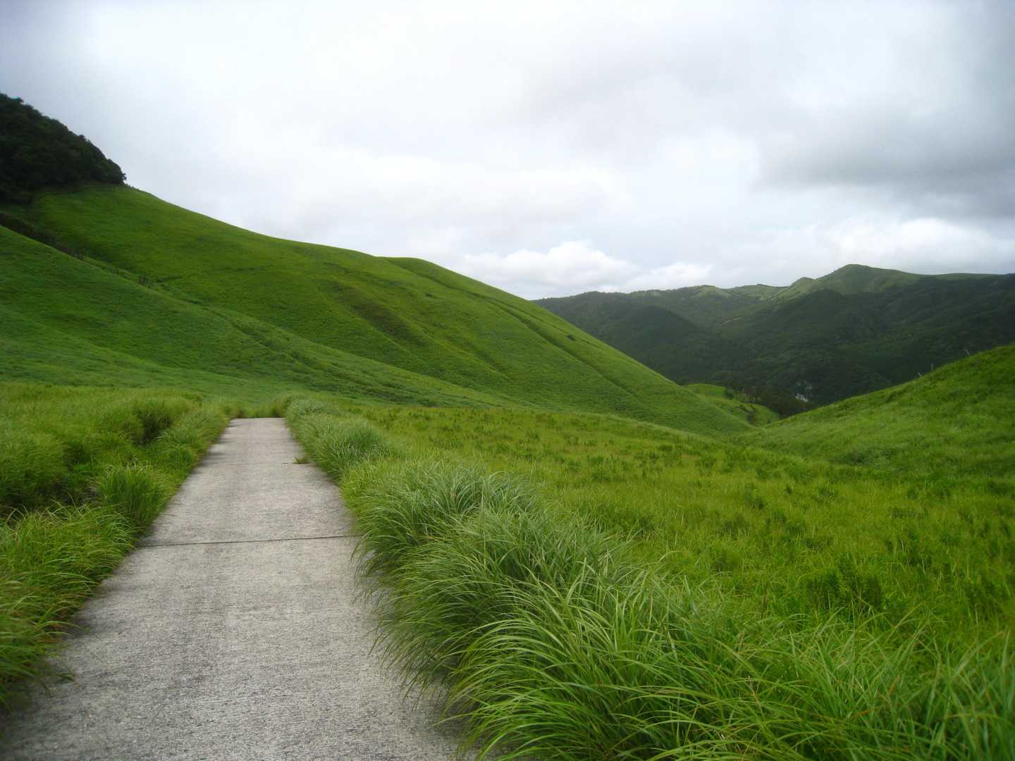 舗装路を歩いて下山します。