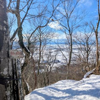頂上の眺望は、ちょっと残念。