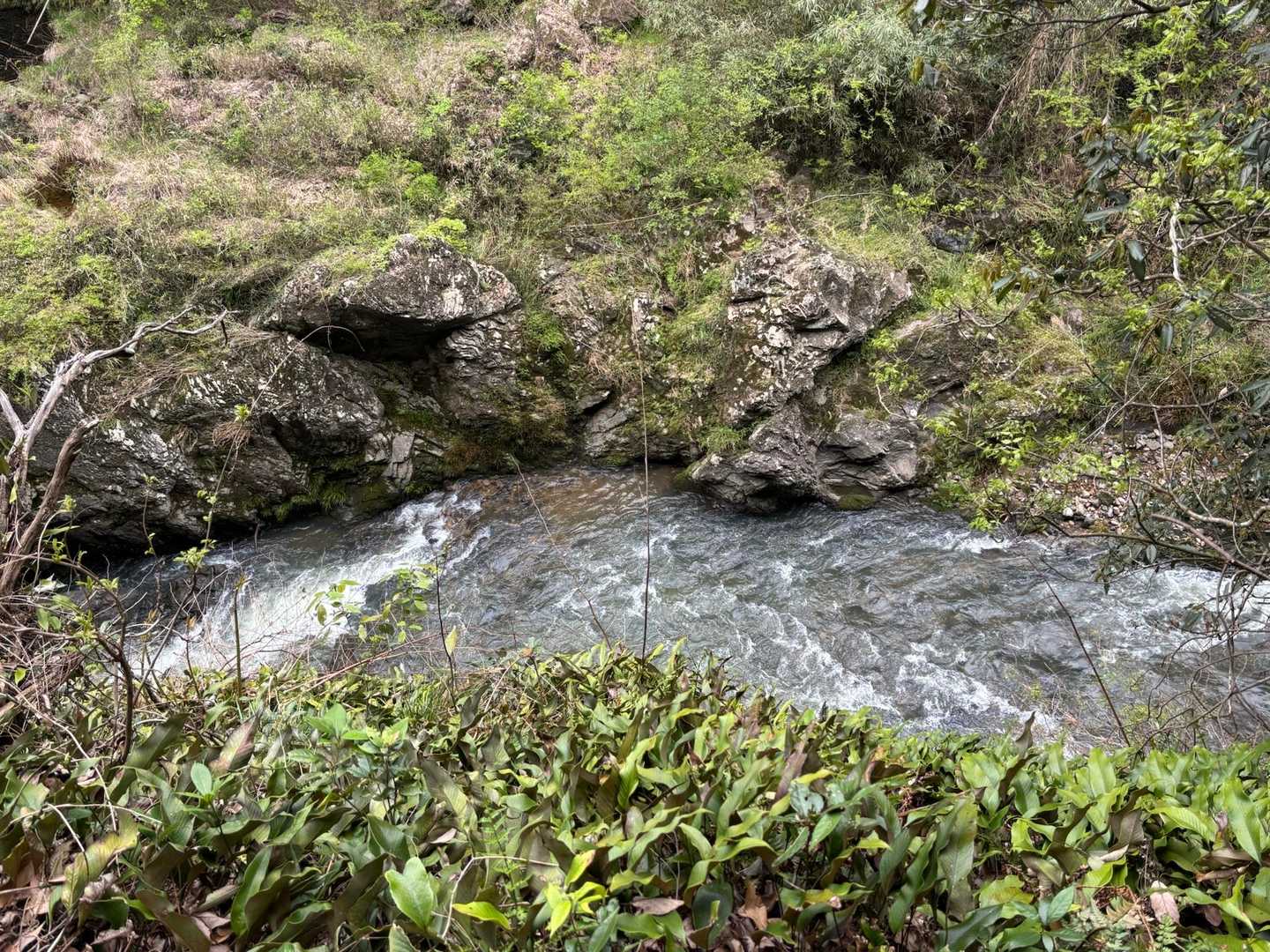 土田山 往復コースの写真