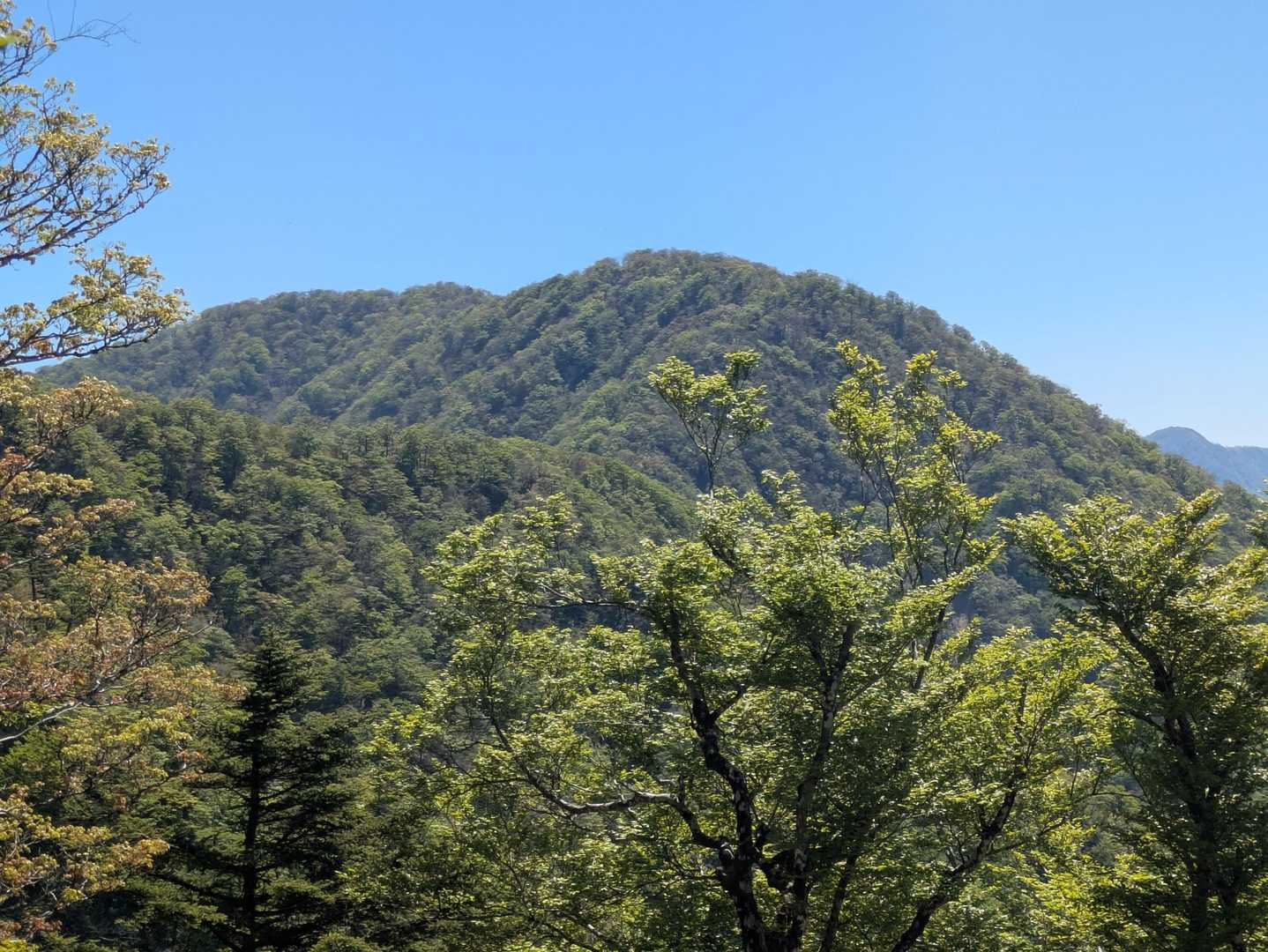 加入道山-大室山 往復コースの写真