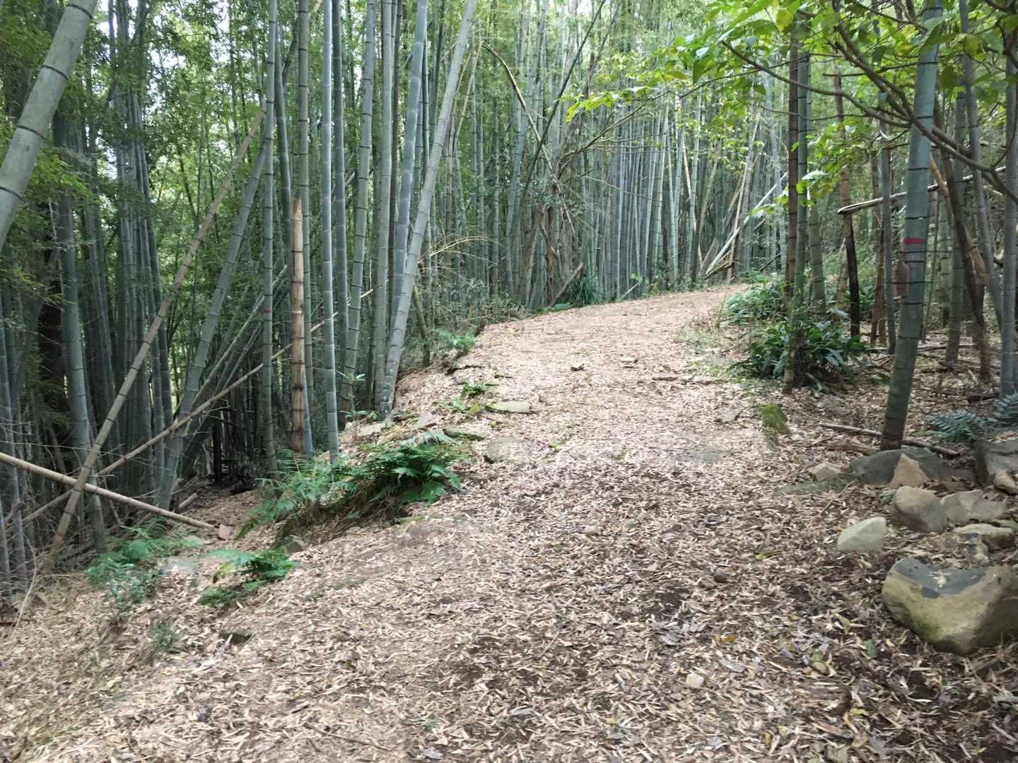 ココから左下🫲
