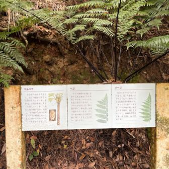 なるほど。固有種なのね