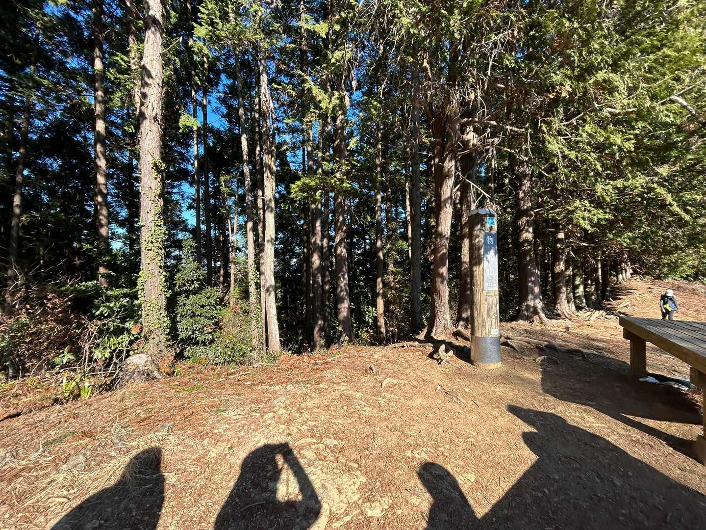 物見山。ランチしてから戻ります