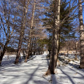 登山道ない、雪深い
スノーシュー正解👍