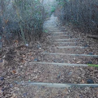 ずっと続いてる