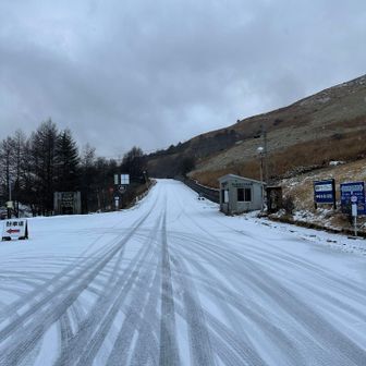 ここが車山高原のバス停にゃ