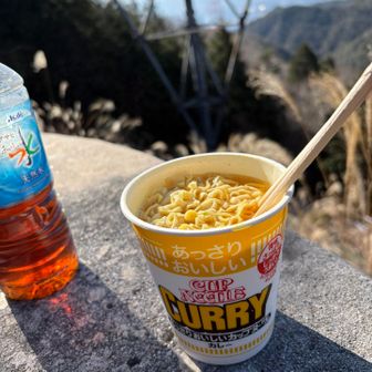 冬は何故かカレー味を選んでしまう