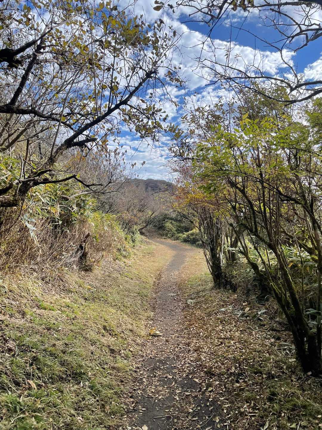 なだらかで最高