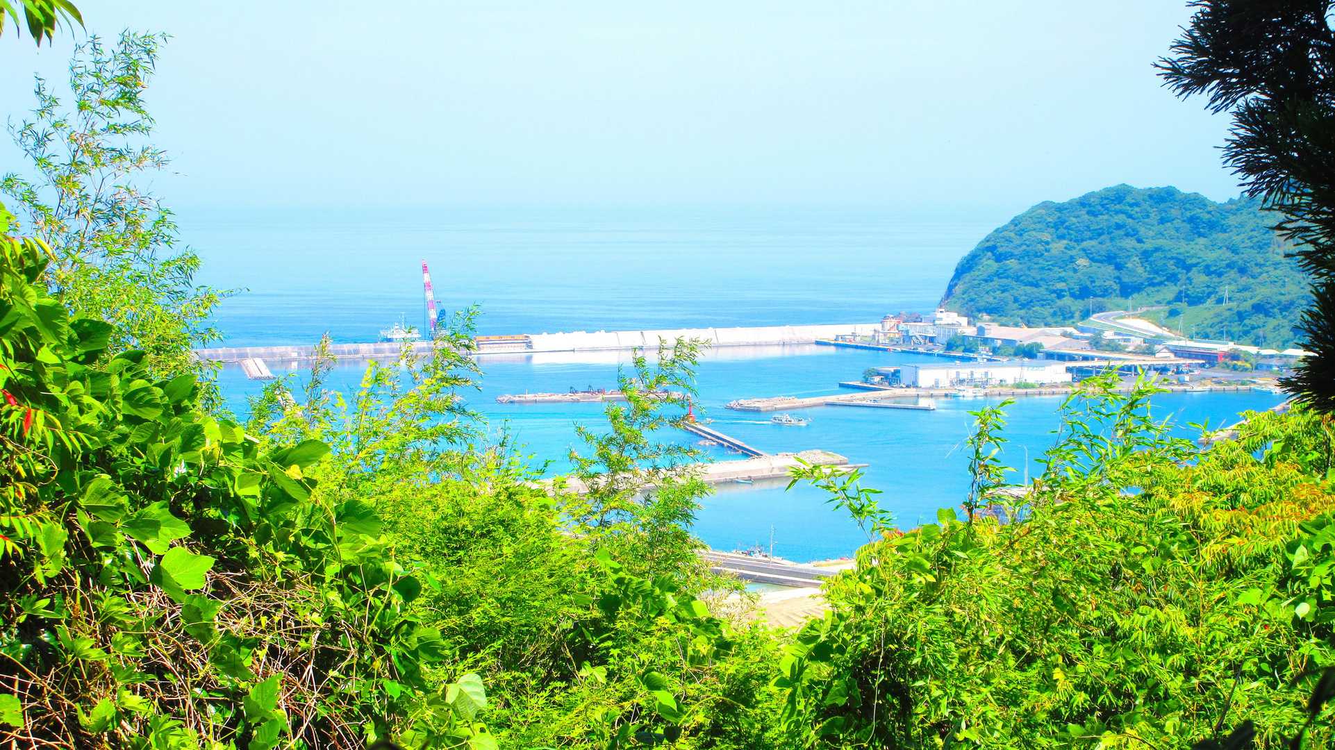 石段回避ルートより