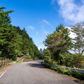 帰りはこの辺りまで路肩駐車があった