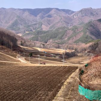 一面開墾した畑