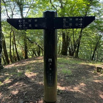 湯船山
ここまででかなりへとへと😓
以降写真少なめです