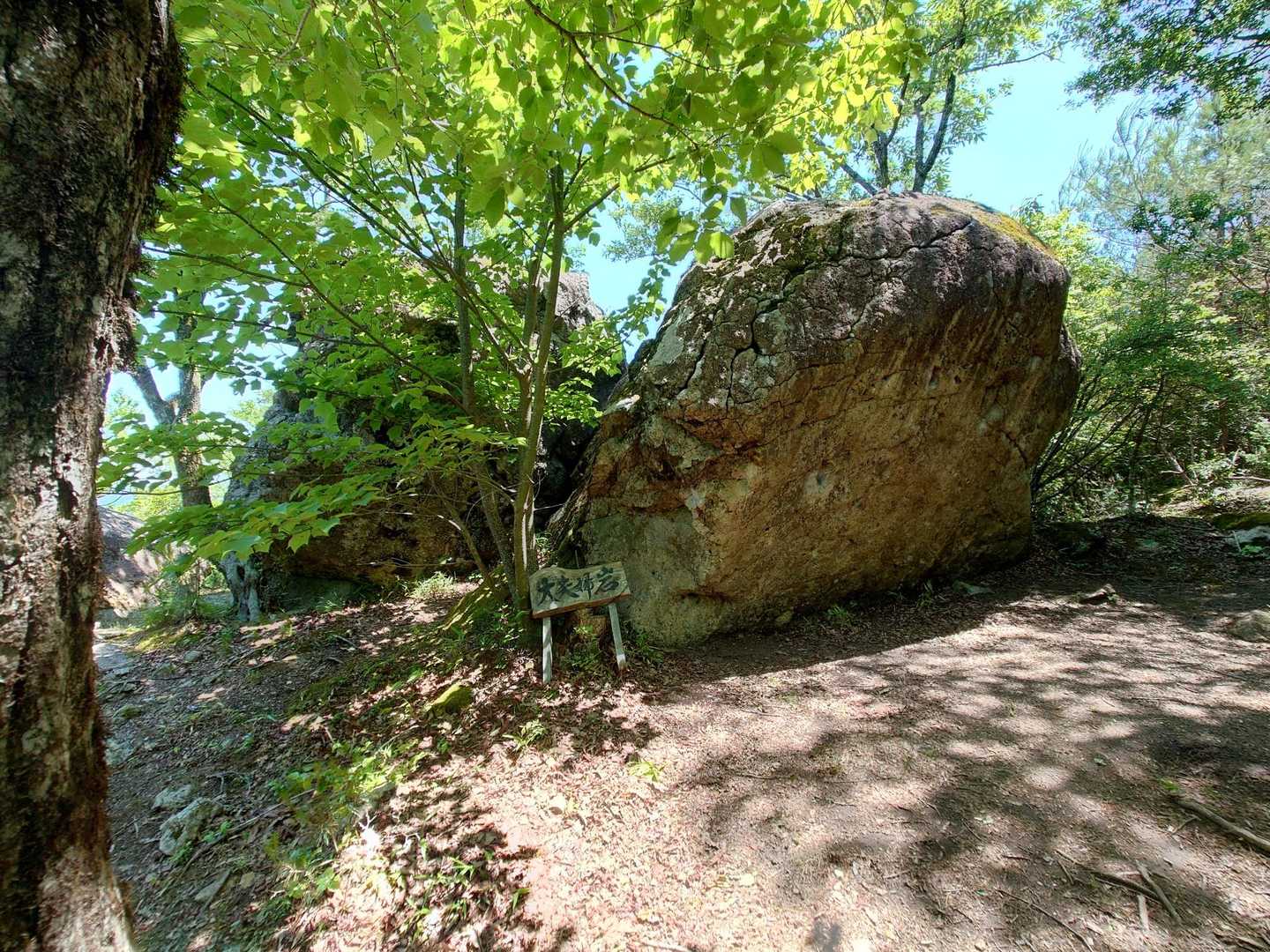 上の山-大野山 周回コースの写真