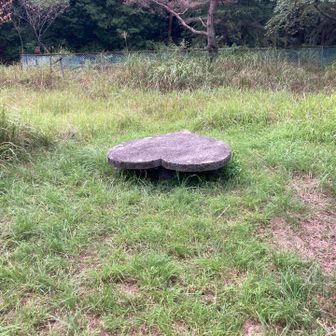 ハートのベンチ
