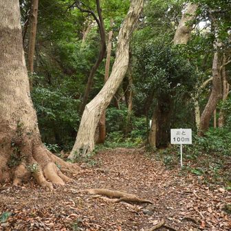 山頂まであと100ｍ。