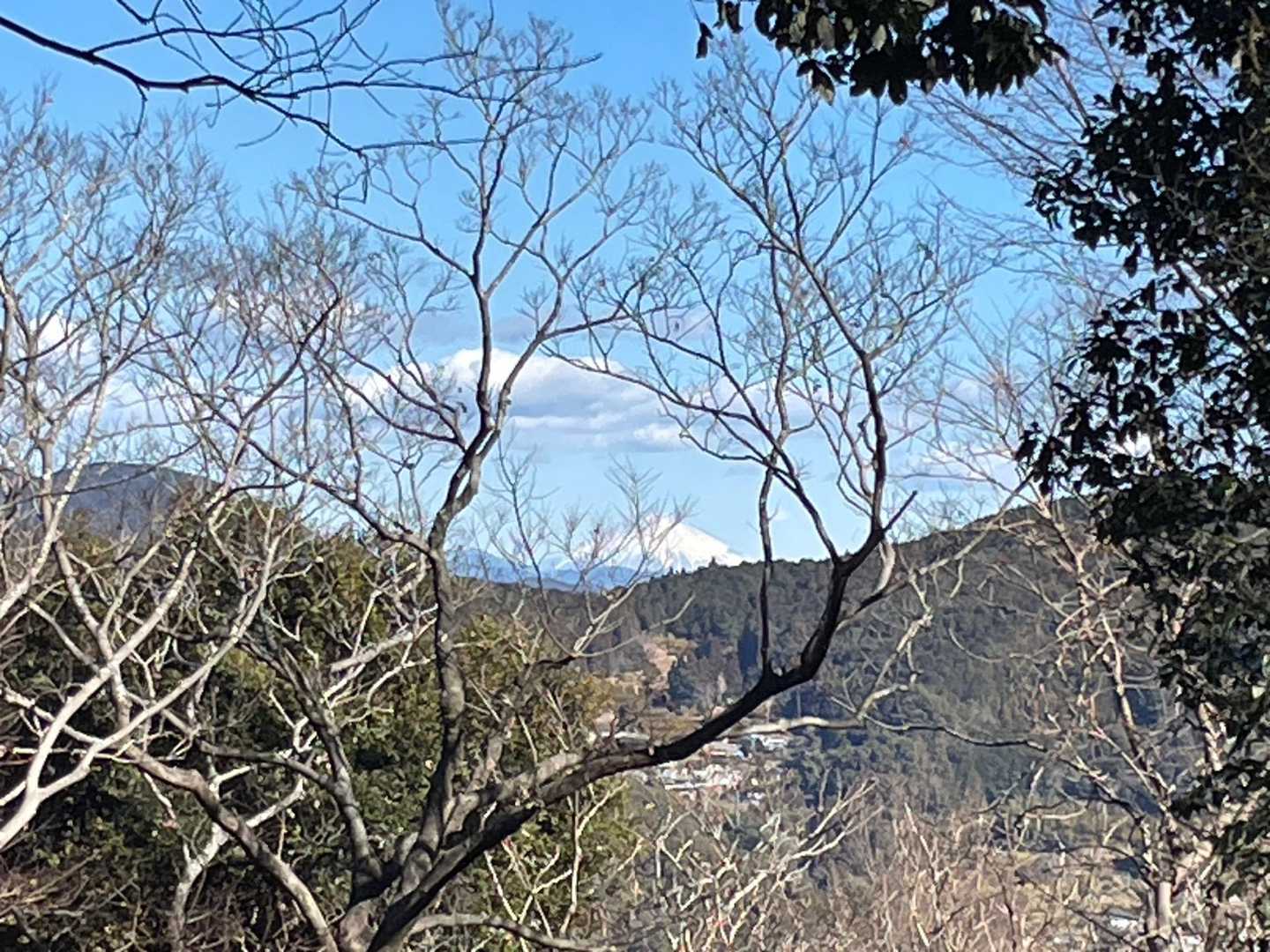 写真では分かりませんが、富士山🗻がクッキリと🤗