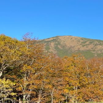 鳩待峠より至仏山