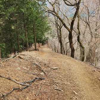 今日は色々やったので、もういいかな。下山。