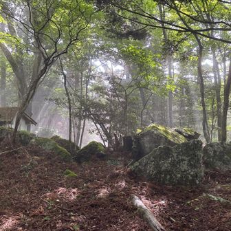 山犬嶽山頂付近
ガスってます
