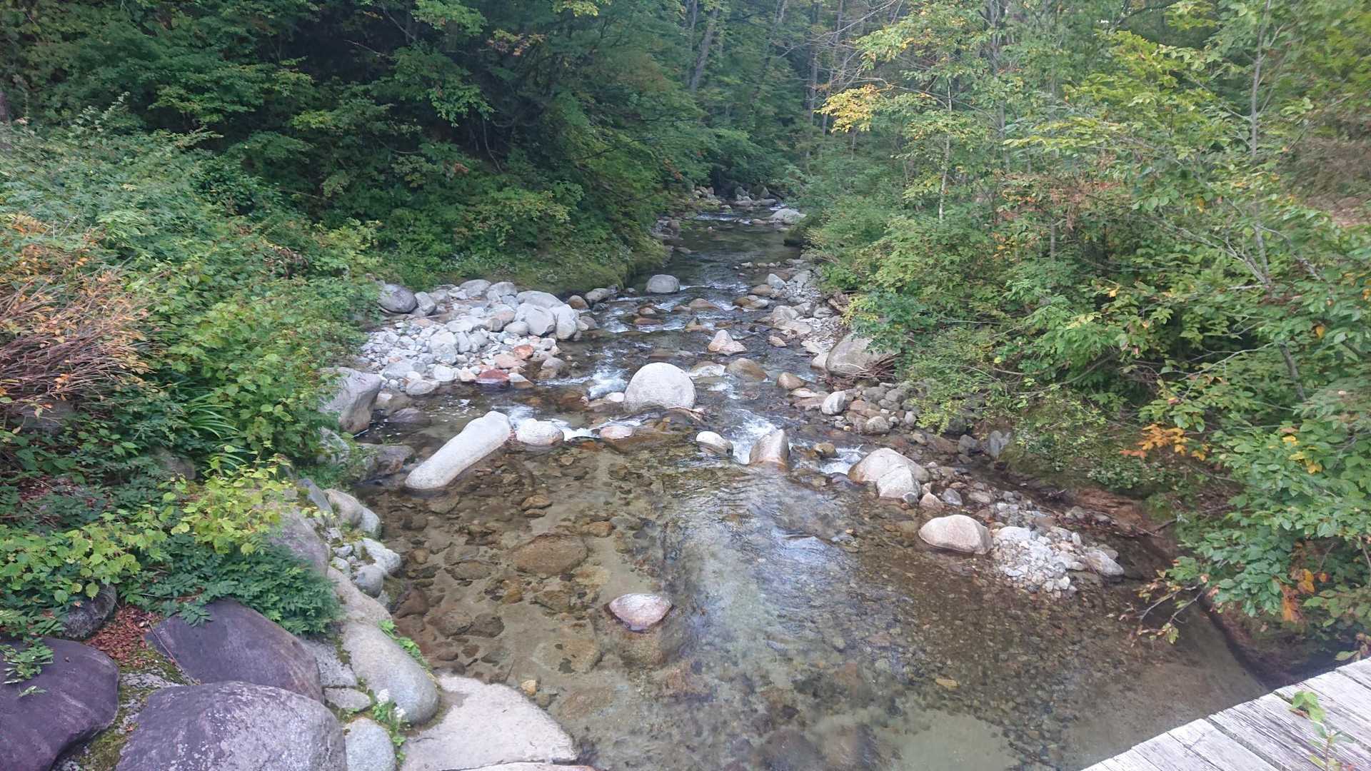 無事に帰って来ましたよ