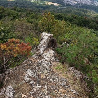 天狗岩に着いた！
今日はあの先まで行く💪