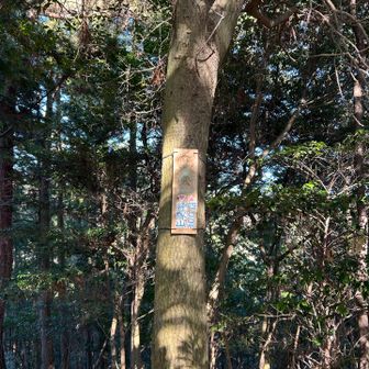 寄り道してピークハントしてきました👍