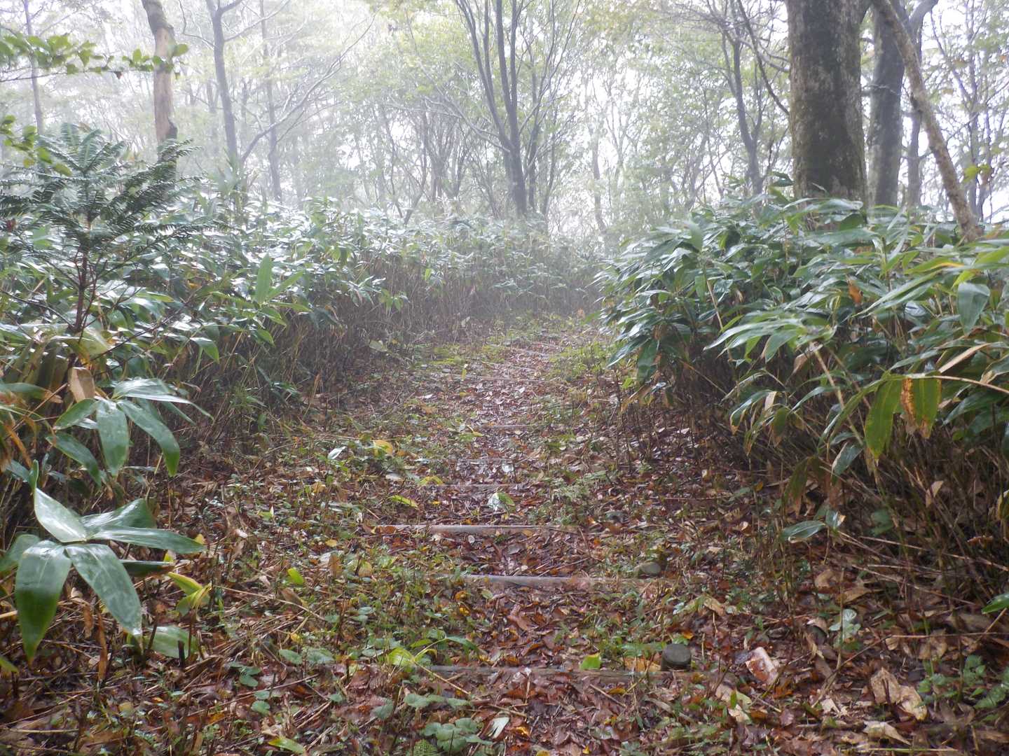 何気にこの木の階段も滑ります