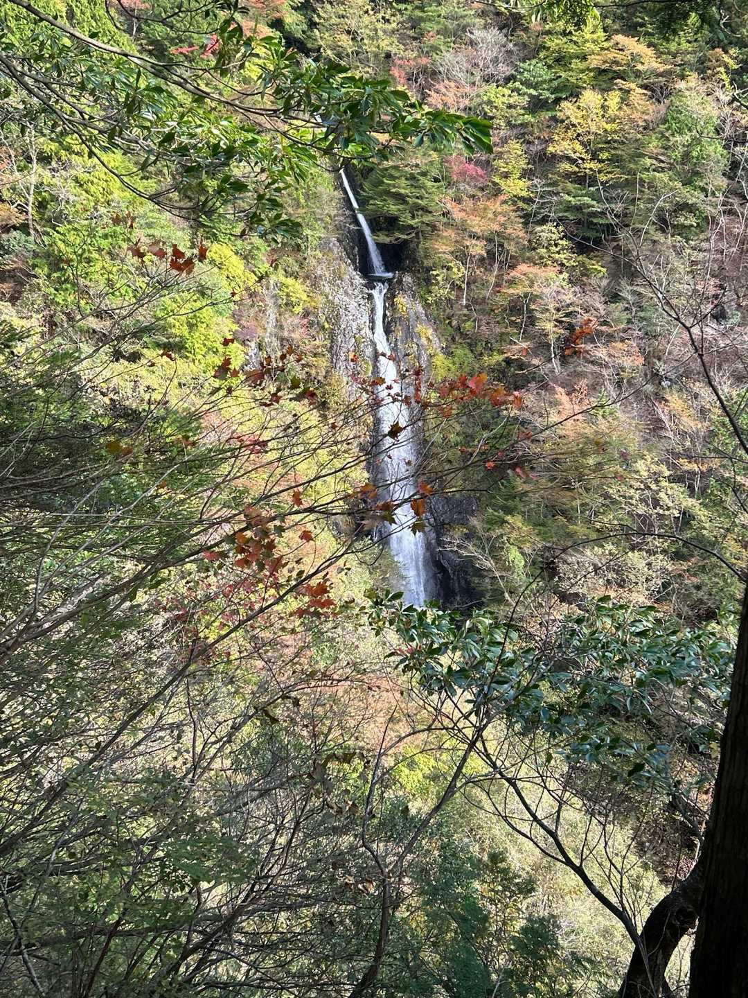 麓登山口-毛無山 往復コースの写真