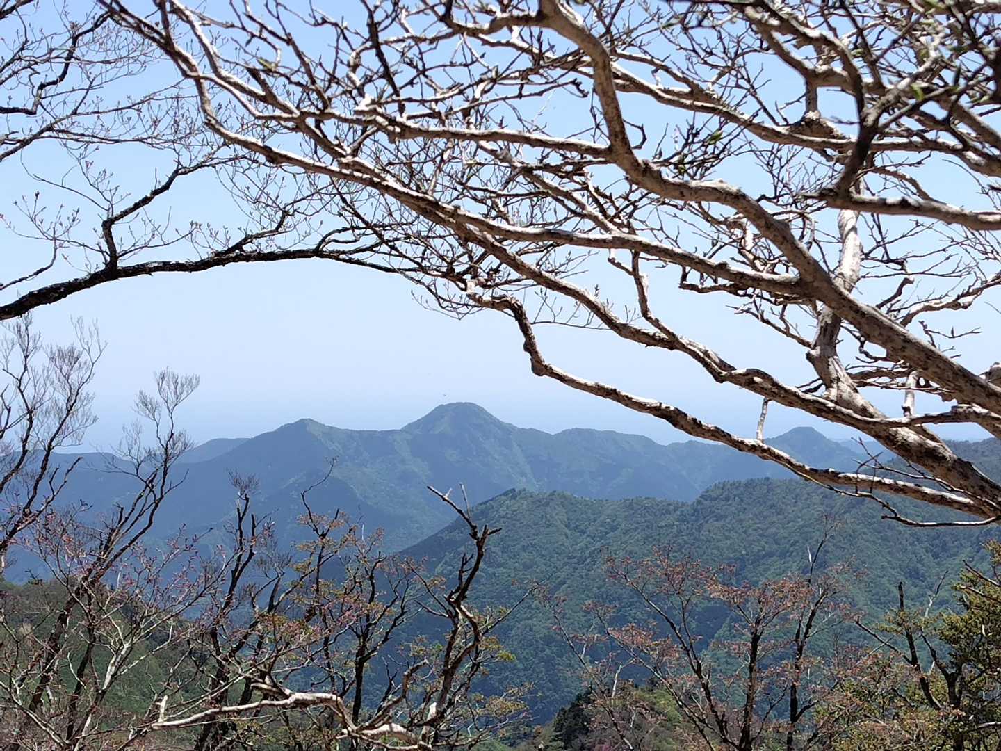 山並の向こう、うっすら水平線は熊野灘か😍
