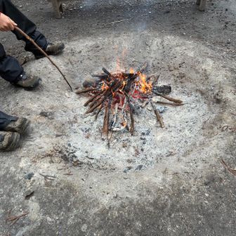 奉幣殿にて
大人下山待のふたり。

おまたせしました🙏
